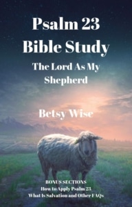 Mini Psalm 23 Bible Study-Part 1 - Writing For JESUS